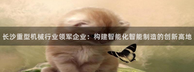 龍八國際賭場