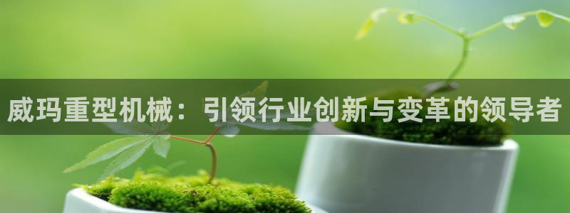 龍八國際服官網入口地址