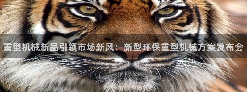 龍八國(guó)際網(wǎng)頁(yè)