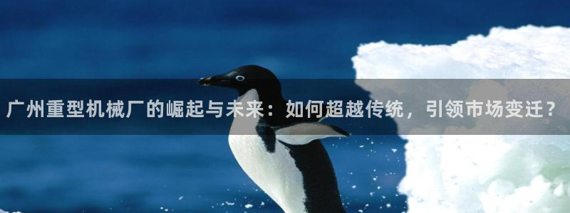 龍八國(guó)際官方登錄網(wǎng)址