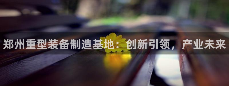 龍八國際新版