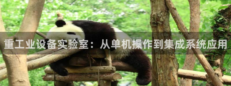 龍八國際平臺yb48點(diǎn)top