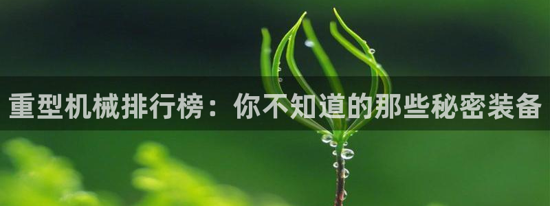 龍八國(guó)際娛 樂(lè)