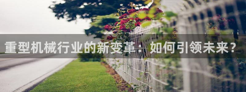龍八國際app下載
