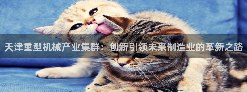 龍八國際相仿平臺