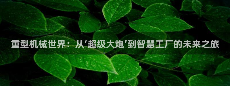 下載龍八國際手機(jī)版