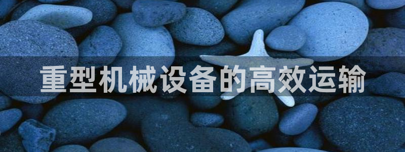 龍八國(guó)際娛樂老虎機(jī)