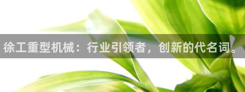 龍八國際app電話號(hào)碼