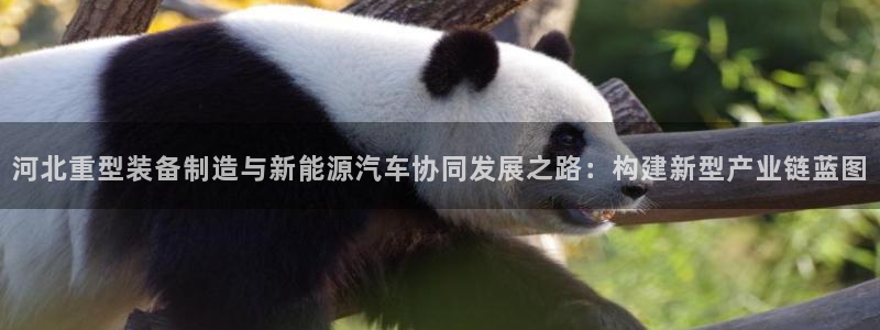 龍八國際官網(wǎng)下載安卓