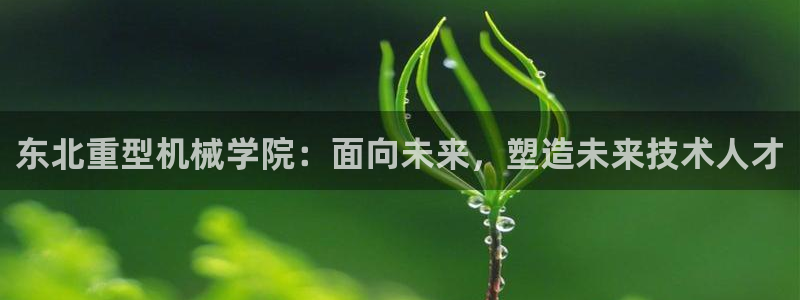 龍八國(guó)際版游戲