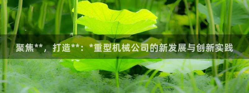龍八國際體育