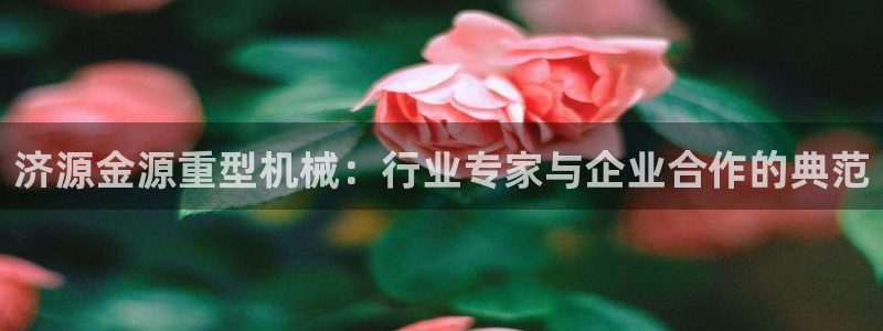 龍八國際