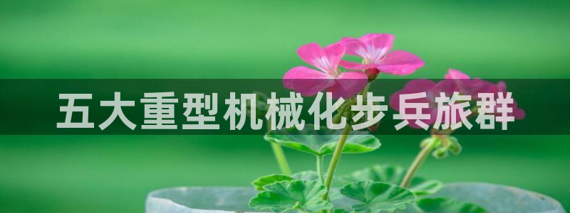 龍八國(guó)際手游