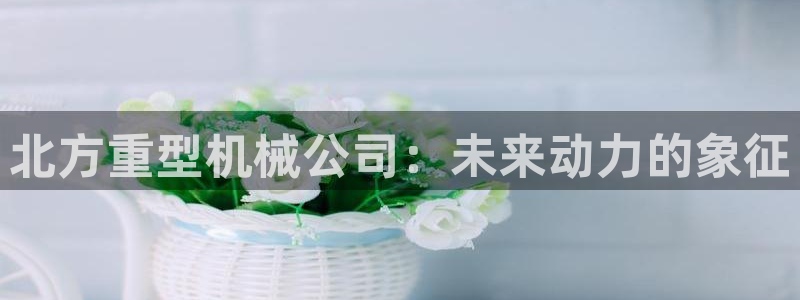 龍八國際黑嗎