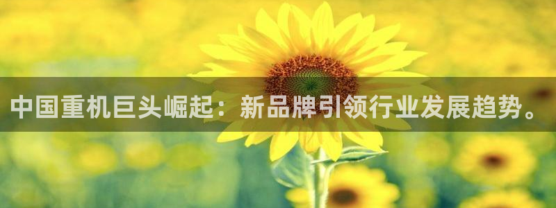 不會玩龍八國際
