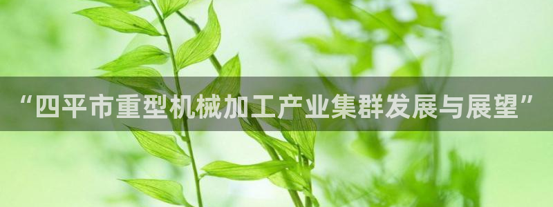 龍八國(guó)際官方下載