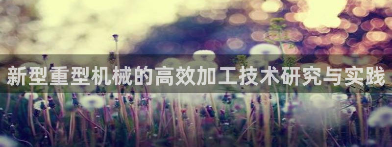 龍八國際pT娛樂官網(wǎng)