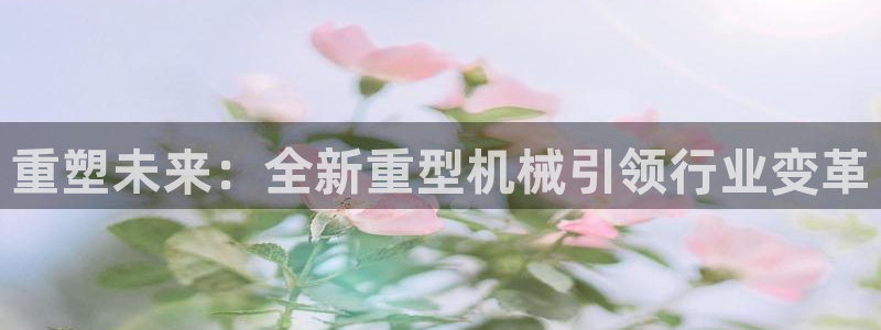 龍八國際娛樂 pt
