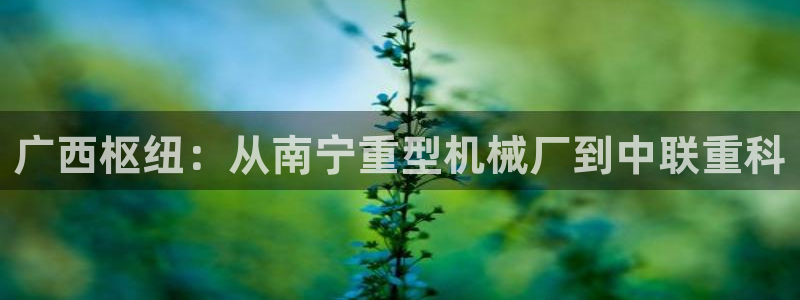 龍八國際app是什么