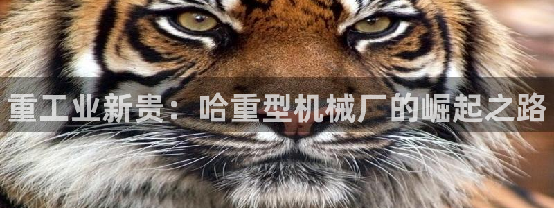 下載龍八國際游戲