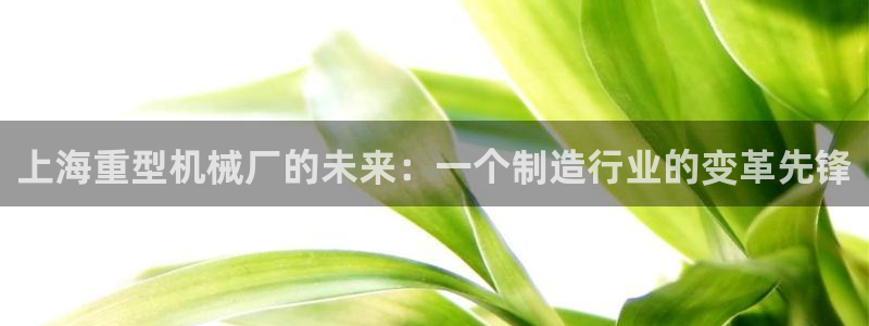 龍八國際手機(jī)版官方版app下載