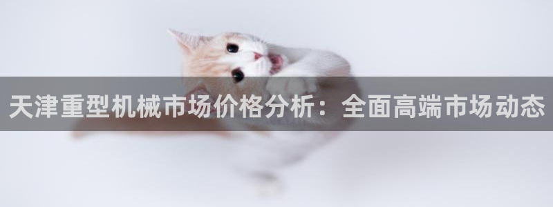 龍八國際游戲維護時間