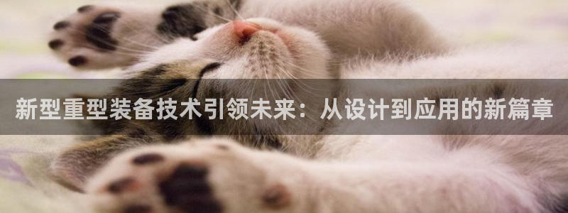 龍八國際彩金購買