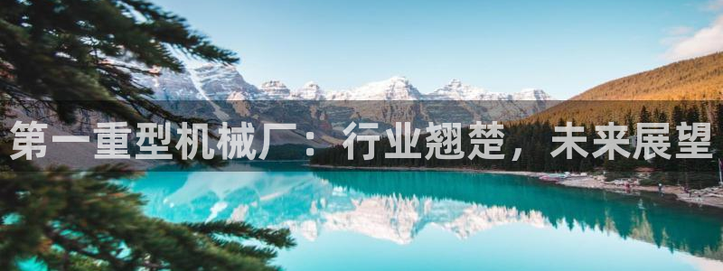 龍八國際娛樂城