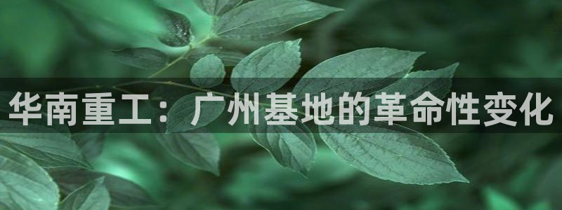 龍八國際娛