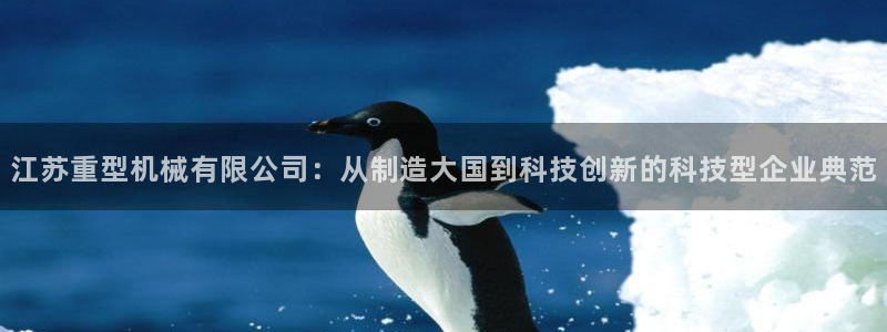龍八國際是什么