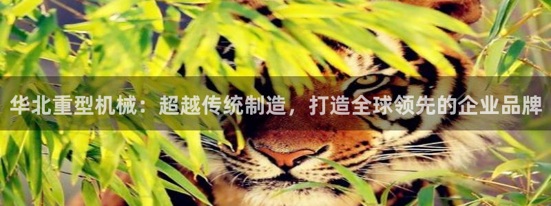 龍八國際怎么注冊下載