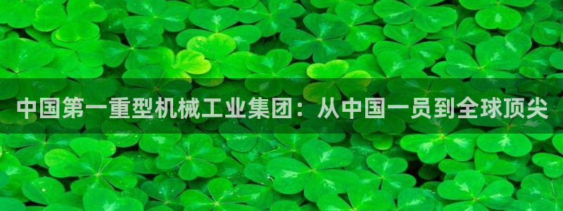 龍八國際娛樂正版
