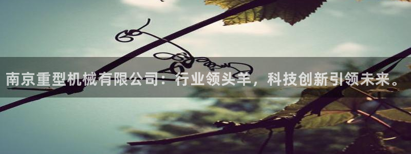龍八國際娛樂網(wǎng)址