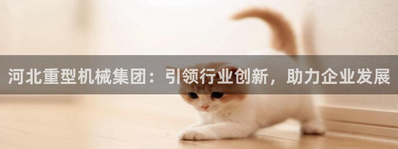 龍八國際娛樂官網(wǎng)首頁