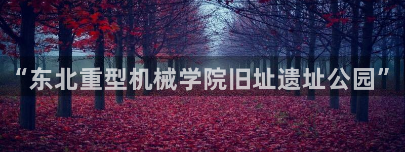 龍八國際網(wǎng)b48點tv