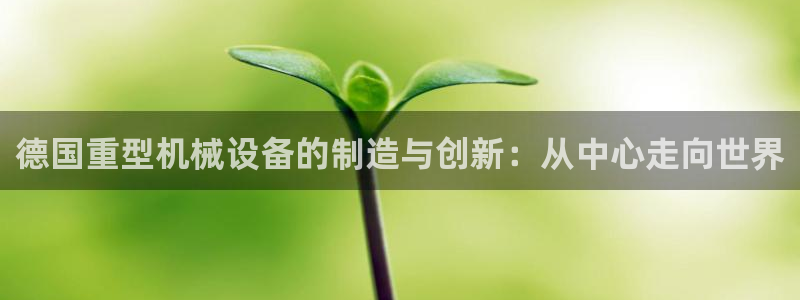 菲律賓龍八國際殺豬