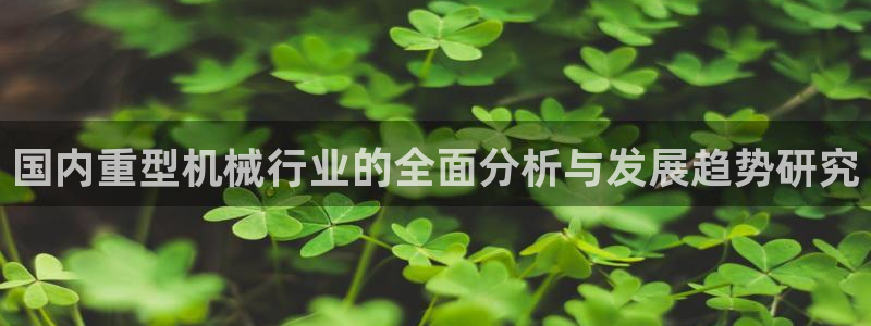 龍八國(guó)際城網(wǎng)址