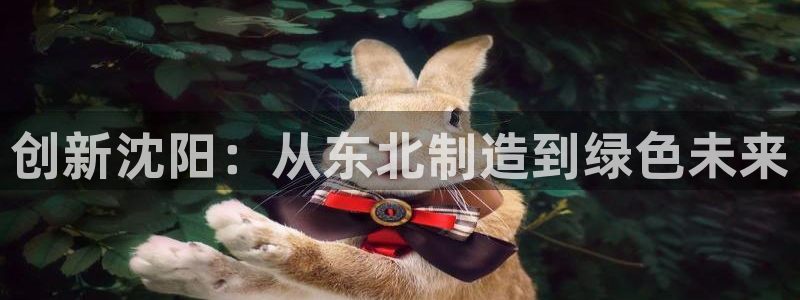 龍八國際鏈接