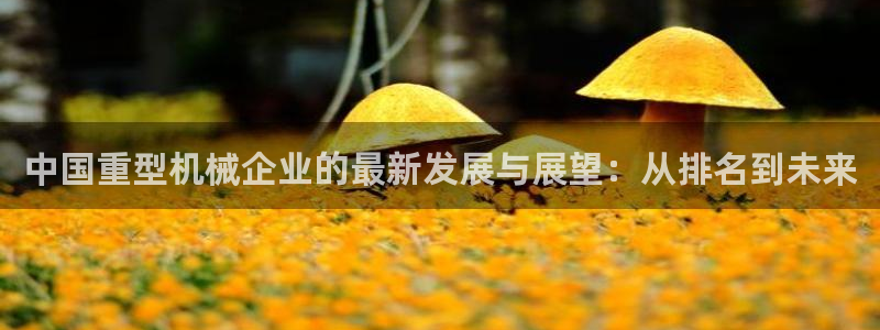 龍八國際手機(jī)版下載
