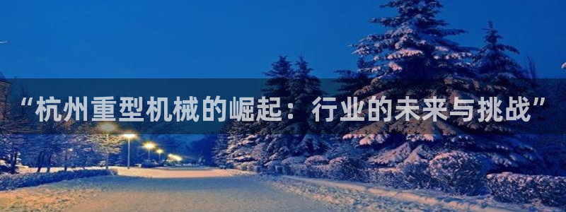 龍八國際軟件下載