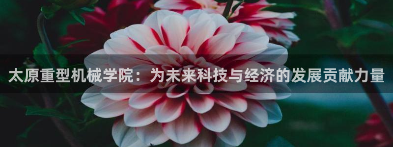 龍八國際能贏錢嗎