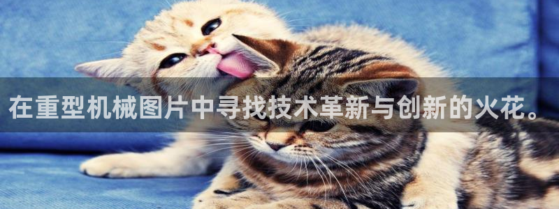 龍八國際娛樂dt 和老虎機(jī)