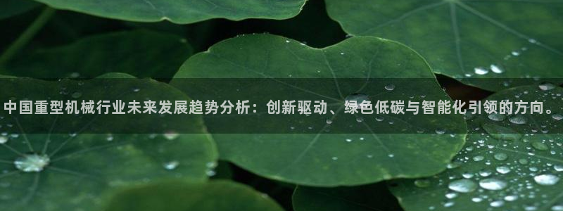 龍八國際游戲登錄