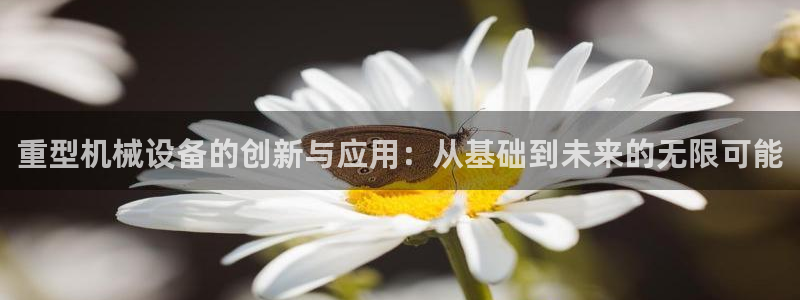 龍八國際有沒有假
