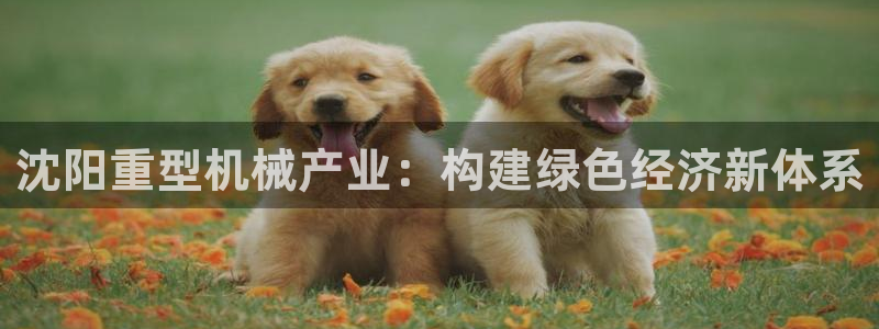 龍八國(guó)際圖片