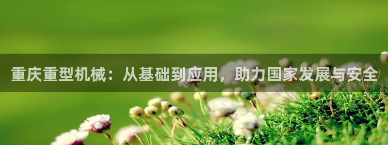 龍八國際服官網(wǎng)站