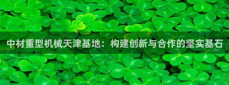 龍八國際平臺手機(jī)版