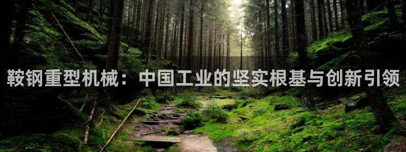 龍八國(guó)際是干什么的