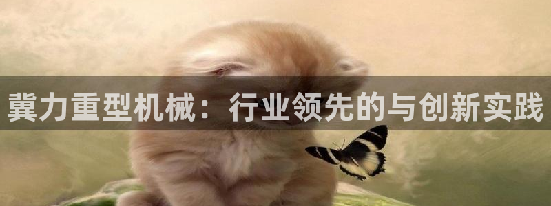 龍八國際apPP
