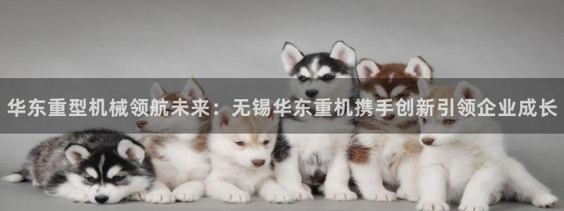 龍八國際免費(fèi)下載